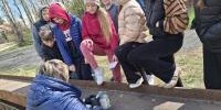 Dziez Ziemi Jola (8).jpg
