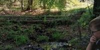 W poszukiwaniu jesieni – wyprawa na Łopień (11).jpg