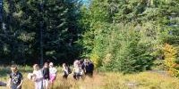 W poszukiwaniu jesieni – wyprawa na Łopień (13).jpg