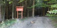 W poszukiwaniu jesieni – wyprawa na Łopień (9).jpg